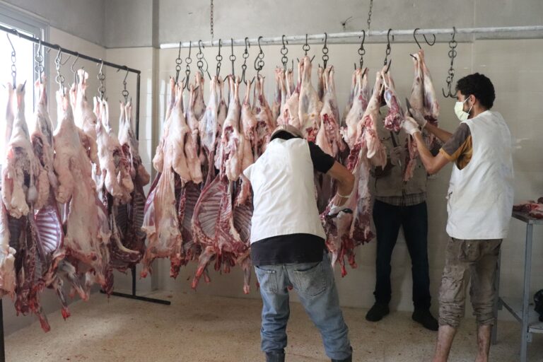 مشاريع ملاك