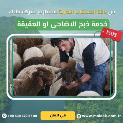 خدمة الأضاحي والعقائق في اليمن – بذبح شرعي وتوزيع موثوق شارك الأجر، وكن سببًا في إسعاد العائلات اليمنية المحتاجة في أيام العيد والمناسبات المباركة. من خلال خدمتنا الموثوقة، ننفذ أضحيتك أو عقيقتك نيابةً عنك في اليمن وفقًا للأحكام الشرعية، تحت إشراف فريق ميداني متخصص. نختار أضاحي وعقائق سليمة وصحية، ونقوم بالذبح في الوقت الشرعي، ثم نوزع اللحوم على الأسر الأشد حاجة في القرى والمناطق المنكوبة، لتصل البركة إلى من يستحقها، ويصل الأجر إليك. 🔹 تنفيذ خلال أيام العيد والمناسبات 🔹 توثيق كامل بالصور والفيديوهات 🔹 ذبح شرعي على يد جزارين محترفين 🔹 توزيع مباشر على الفقراء والمحتاجين سواءً كانت نيتك أضحية، عقيقة، فدية، أو صدقة جارية – نحن نؤديها عنك بكل أمانة واحتراف.